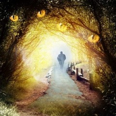 Andy Hall fiddleplayer