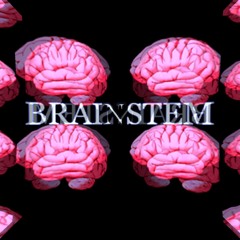 BRAINSTEM - REALIZE