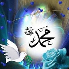belal moharb