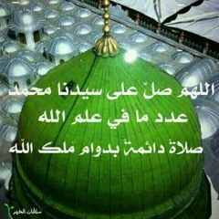 محمد المصطفی بصیر