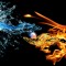 HeartFire1317