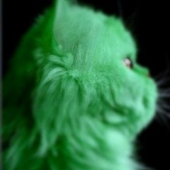 ilyagreench