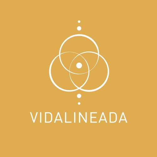 Vidalineada’s avatar