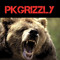 PKGrizzly