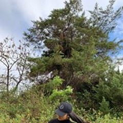 Mihi_Noa🌺🤙