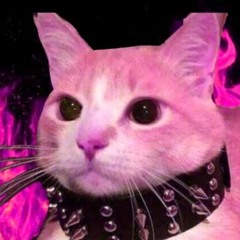 Stream Feline Femdom music | Listen to songs, albums, playlists for free on  SoundCloud