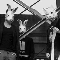 Cat & The White Rabbits