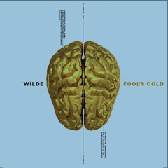 Wilde - Wildemusic-ch
