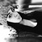 Ashley Becerra Robles