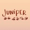 juniper