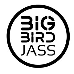 The big birds s