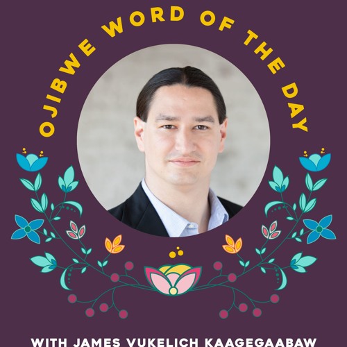 James Vukelich Kaagegaabaw’s avatar
