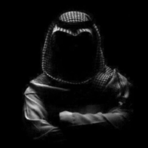 Mahmoud El'sayed’s avatar
