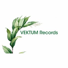 VEKTUM Records