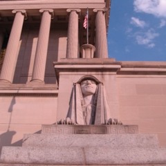 Cut Down the Tall Trees