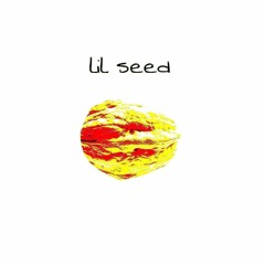 lil seed