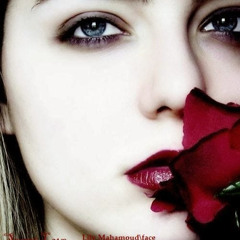 lily mahamoud