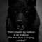 Black wolf