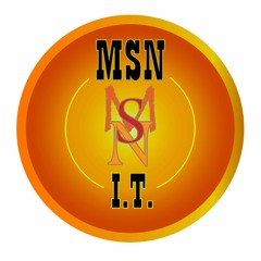 MSN-IT Director