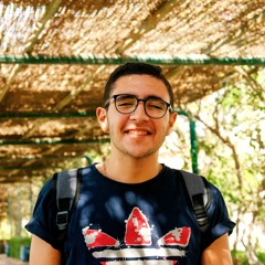 Peter Atef
