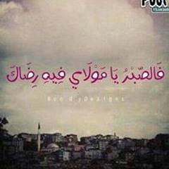 اغانى وطنيه