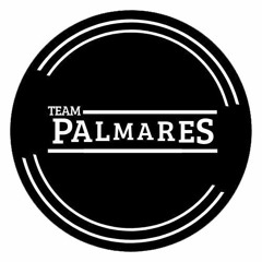Team Palmares