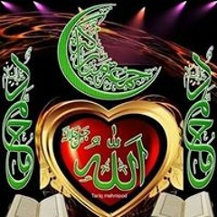 مسعد عبدالحليم