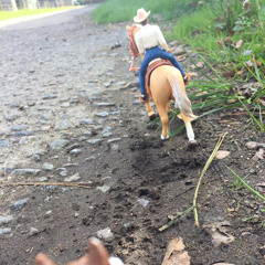 Apple Oak Stables