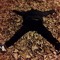 Nadir Hasukic