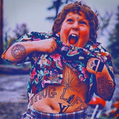 C.D.V (CorbeauDindonVautour)