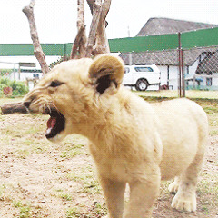 Edgar Zaragoza Reyes