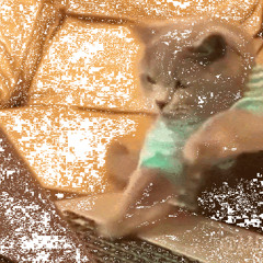 Cesar Garcia-Rodriguez