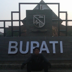 Habsi ban