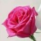 Ajay v