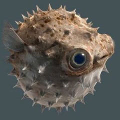Fugu3000
