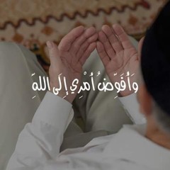 abdo wahba