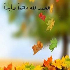 Heba Elsheshtawy