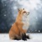N'Fox
