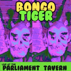 Bongo Tiger