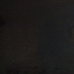 uieshisdhg