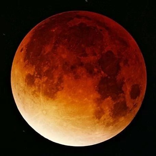 CUA (V2.1 Instrumental With Samples)
