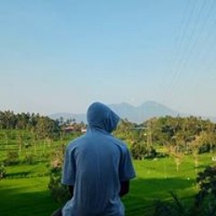 Putu Ariawan