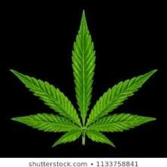 JRannabis