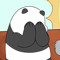 Cynthia Panda