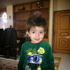 Mohammd Reza Amini