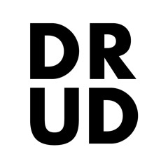 Druiddi