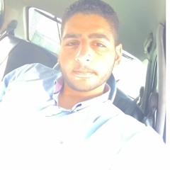 Hossam El Nakib