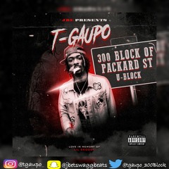 TGaupo