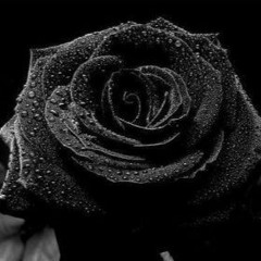 Alberto Rose