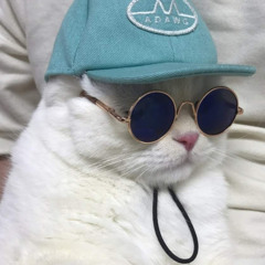 Данила Барейша